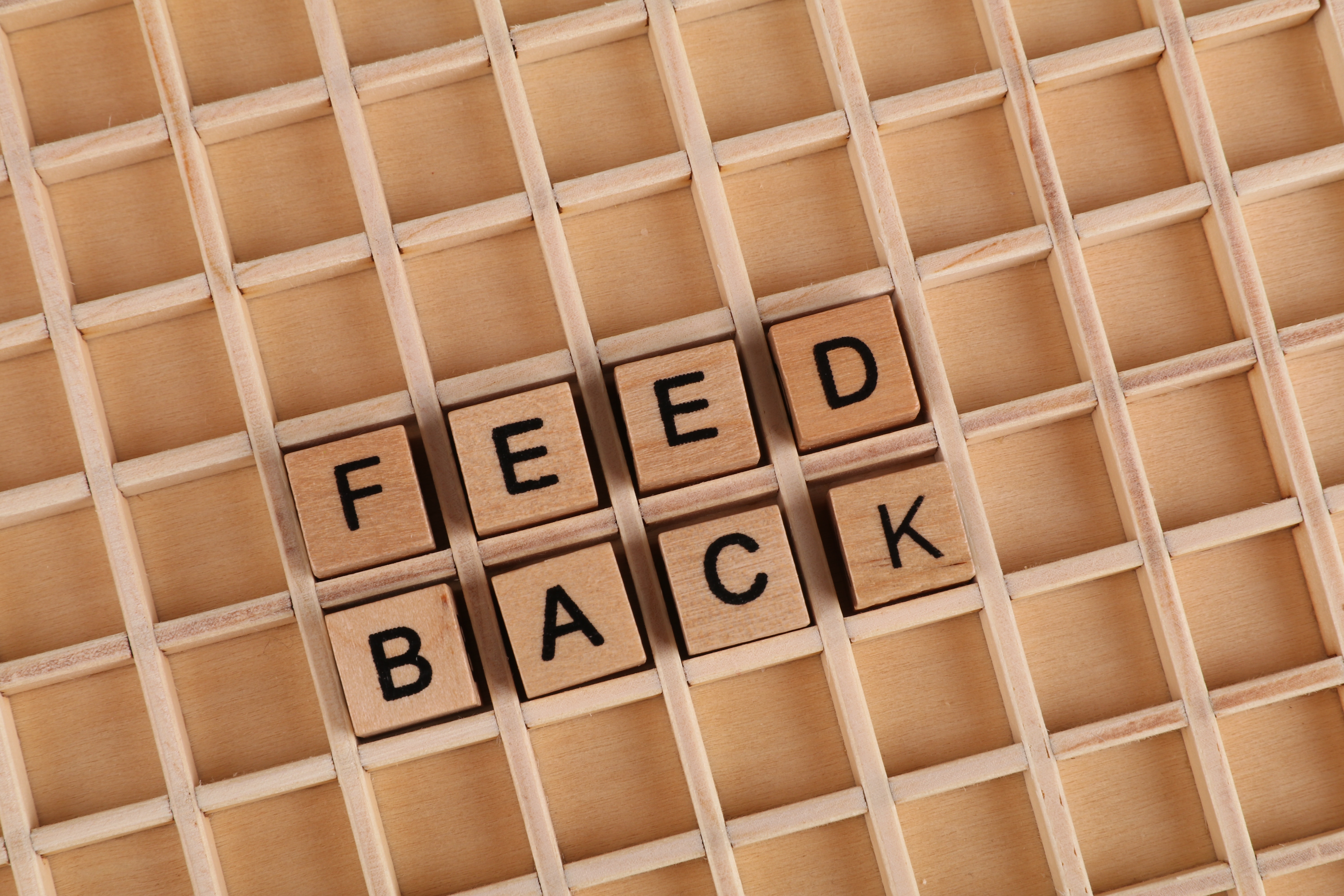 Receiving feedback on your photography portfolio 